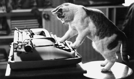 cat-typewriter
