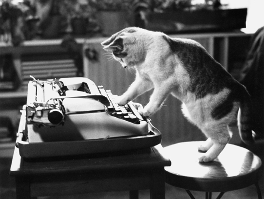 cat-typewriter